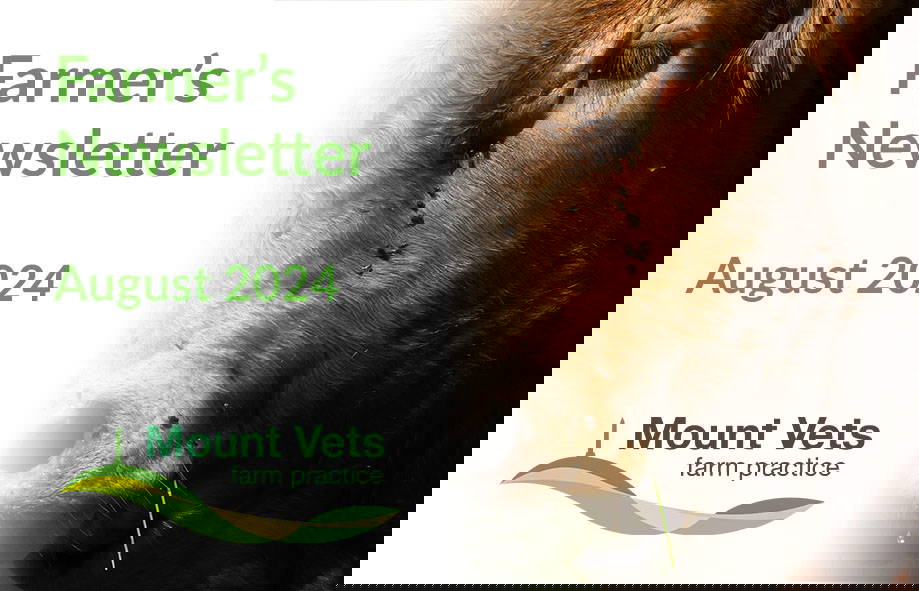 August 2024 Farmers Newsletter | Mount Farm Vets