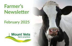 Farm Vet News | February 2025 | Mount Farm Vets