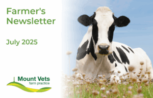 Farmer's Newsletter July 2025 | Mount Vets Farm