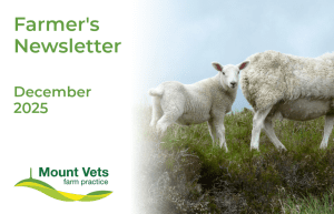 Mount Vets Farm | December 2025 newsletter