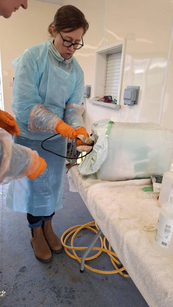 Mount Vets Farm | March 2026 newsletter