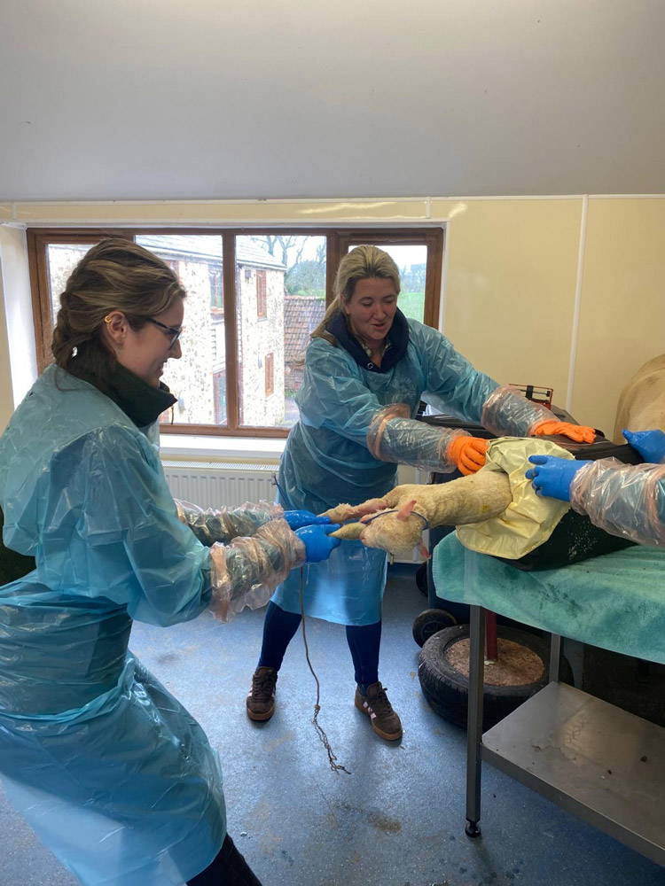 Mount Vets Farm | March 2026 newsletter