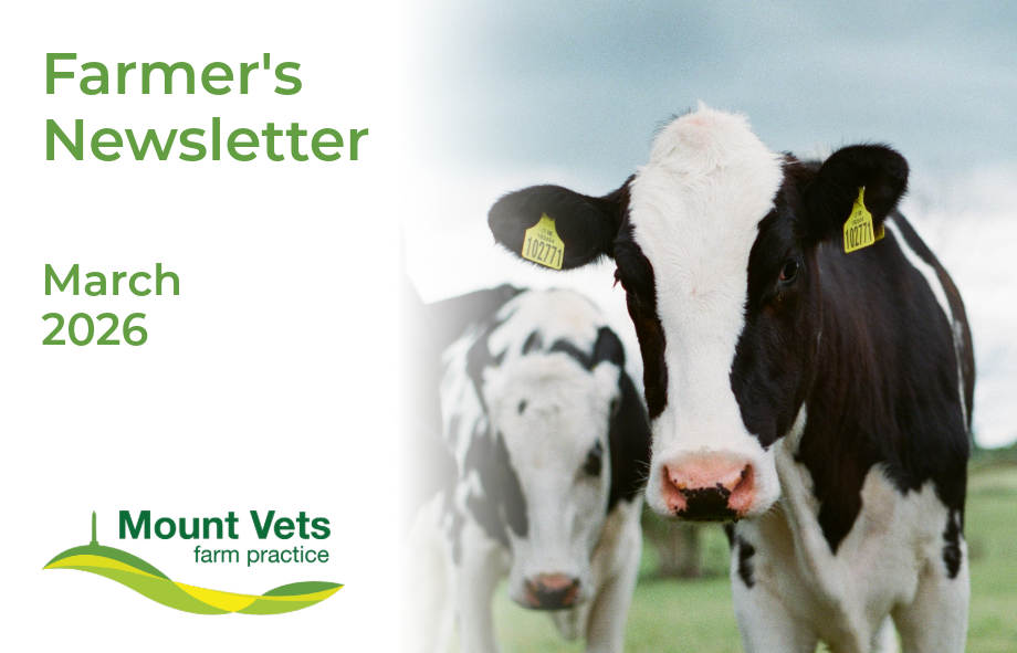 Mount Vets Farm | March 2026 newsletter